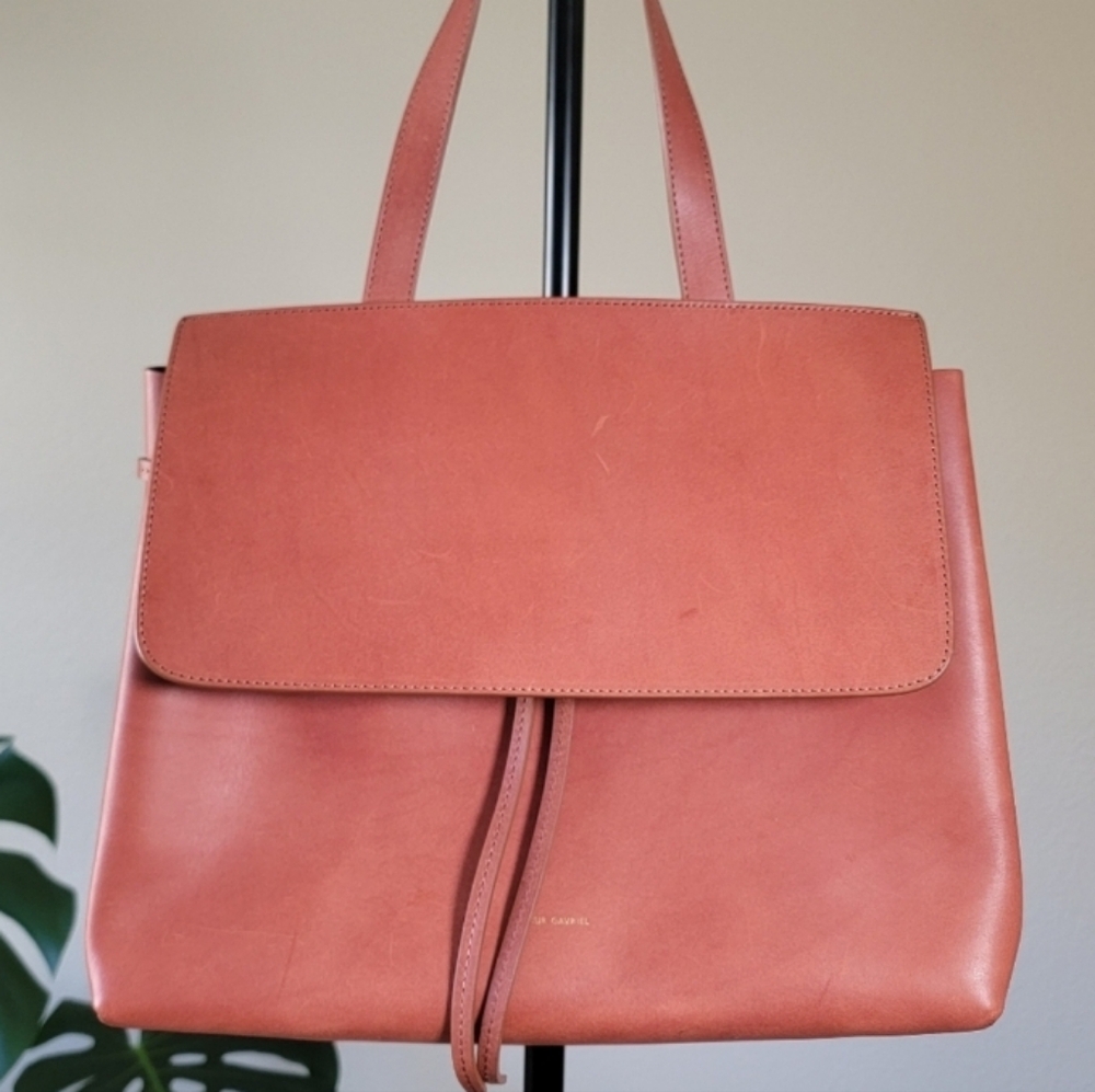 Mansur Gavriel Smooth Leather Lady bag